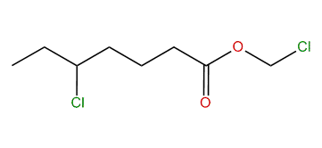 Chloromethyl 5-chloroheptanoate